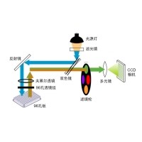 什么是熒光定量PCR、數(shù)字PCR？
