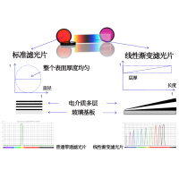 線性漸變?yōu)V光片是什么？有何特點(diǎn)？