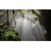 光的干涉、衍射、折射、反射、散射